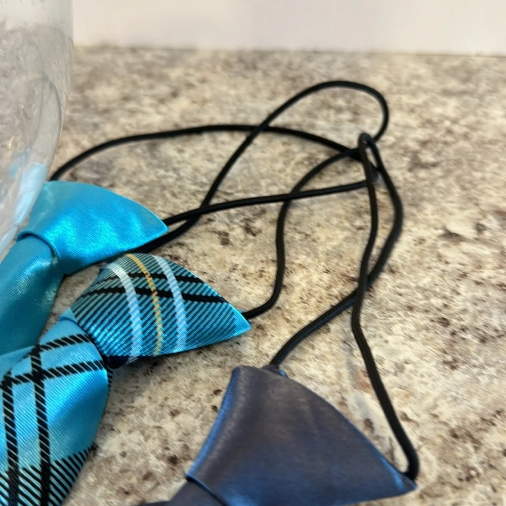 NWOT 10 inch unisex ties set of 4. Attached elastic cord goes under the collar